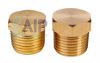 Adapters/Plugs  - Brass