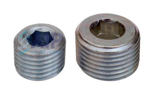 Blanking Plug Steel 1/8