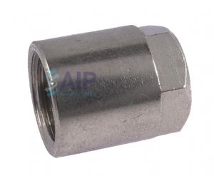 Nickel Plated Brass Female BSP Blanking Cap 